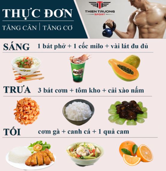 Thuc don tang can