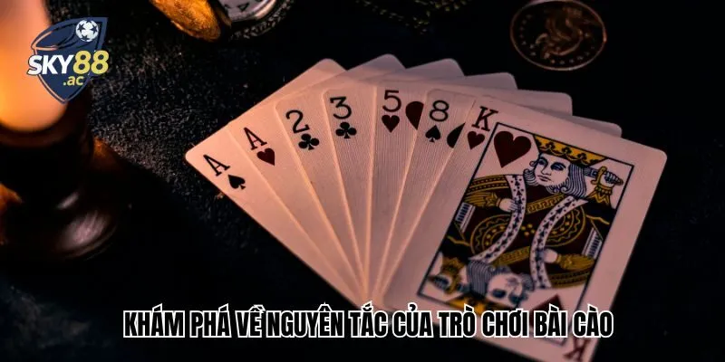 Khám phá về nguyên tắc của trò chơi bài cào 