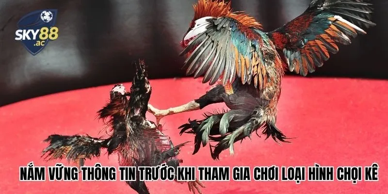Nắm vững thông tin trước khi tham gia chơi loại hình chọi kê
