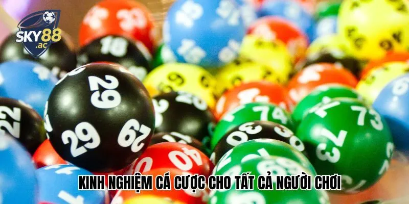 Kinh nghiệm cá cược cho tất cả người chơi