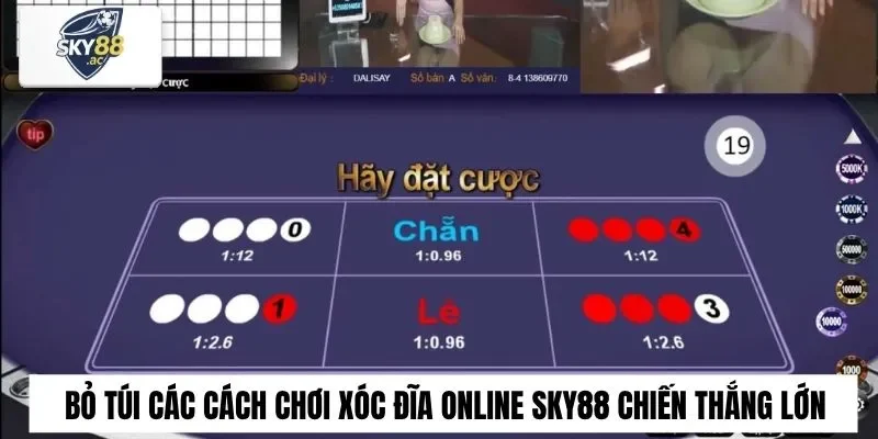 Bỏ Túi Các Cách Chơi Xóc Đĩa Online Sky88 Chiến Thắng Lớn