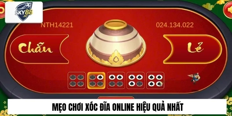 Mẹo chơi xóc đĩa online hiệu quả nhất cho thành viên cá cược
